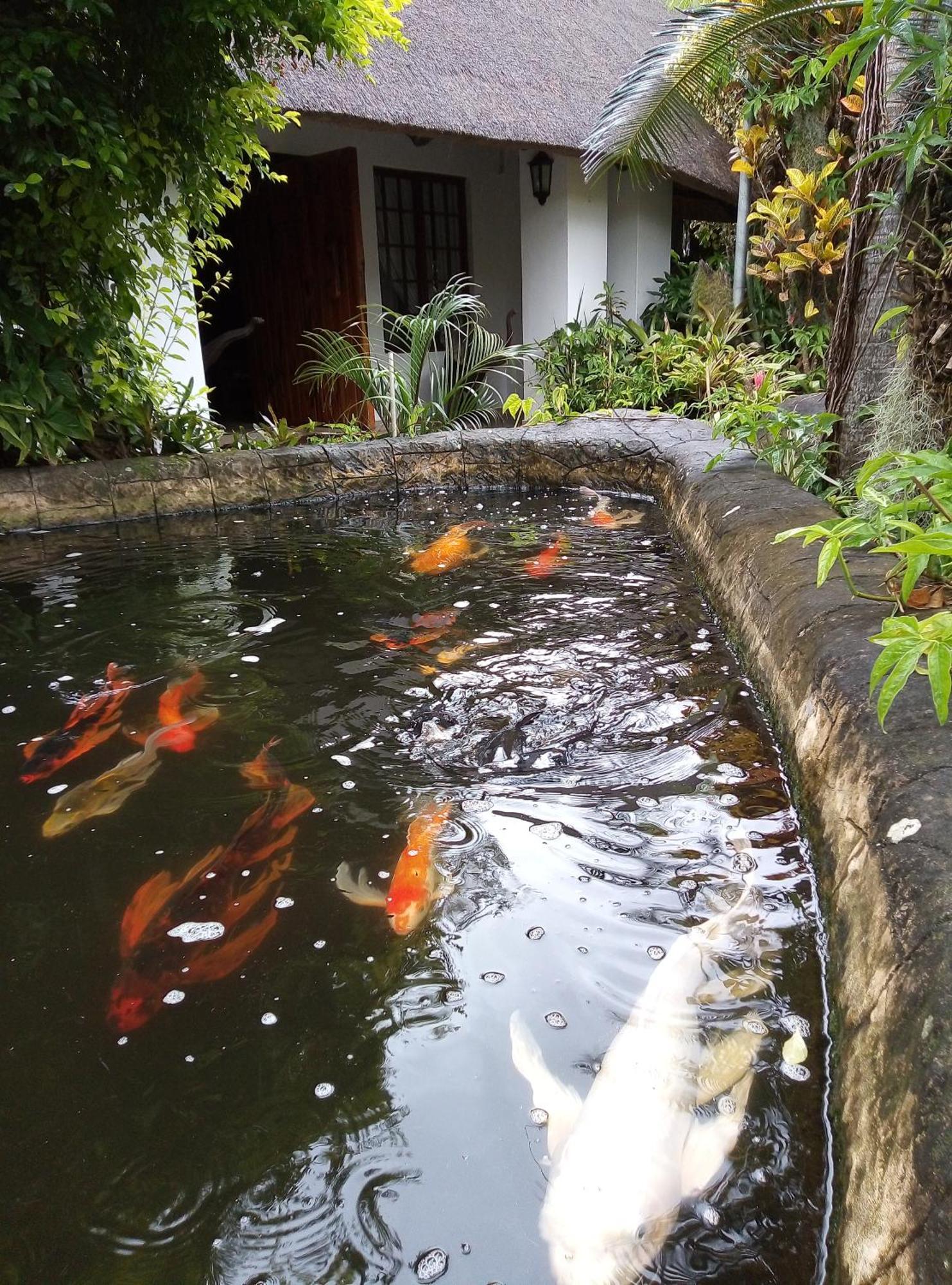 African Ambience Guest House St Lucia Exterior photo