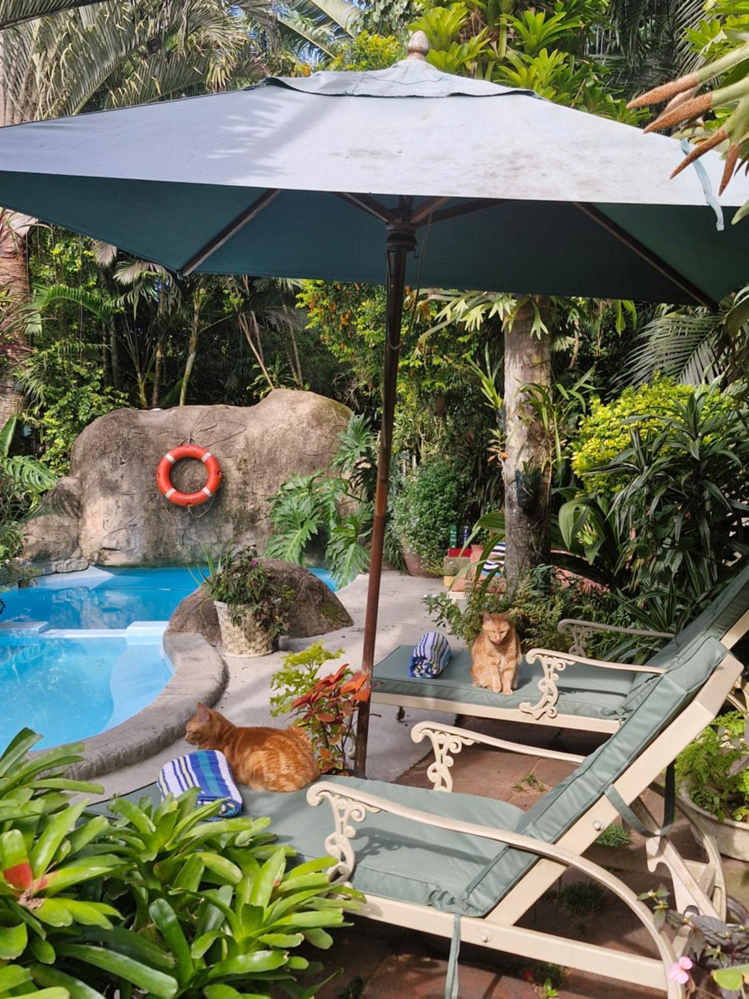 African Ambience Guest House St Lucia Exterior photo