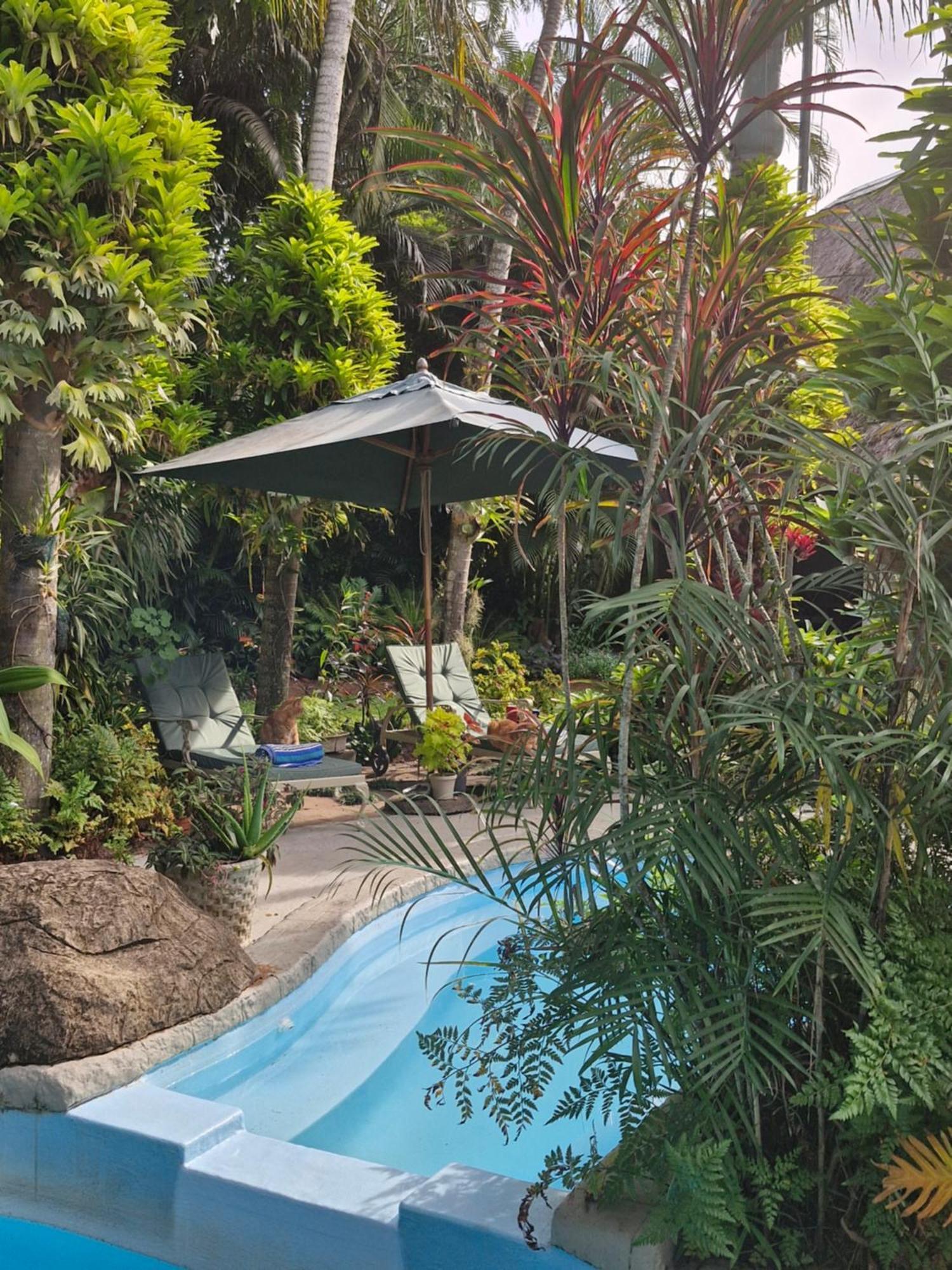 African Ambience Guest House St Lucia Exterior photo