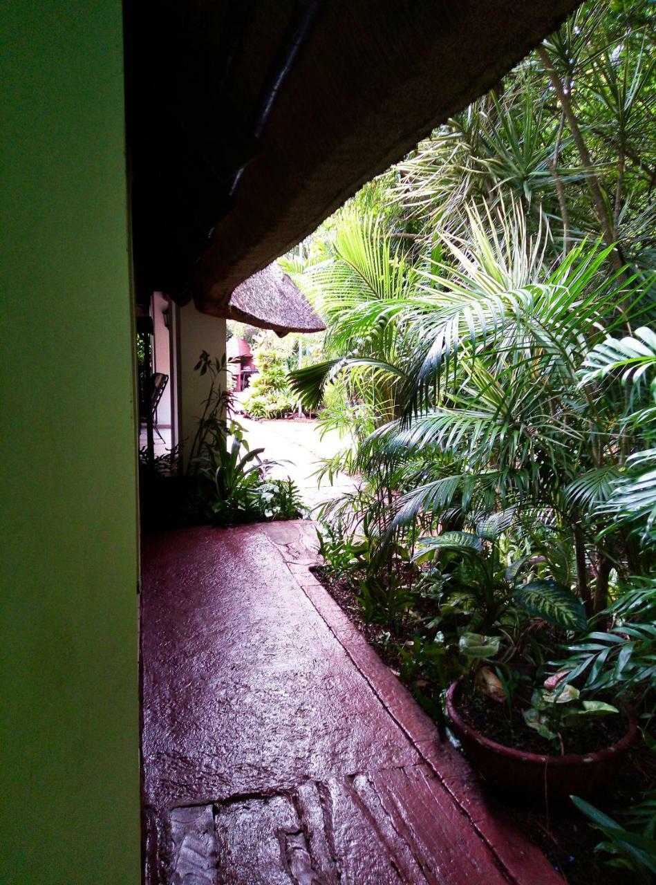 African Ambience Guest House St Lucia Exterior photo